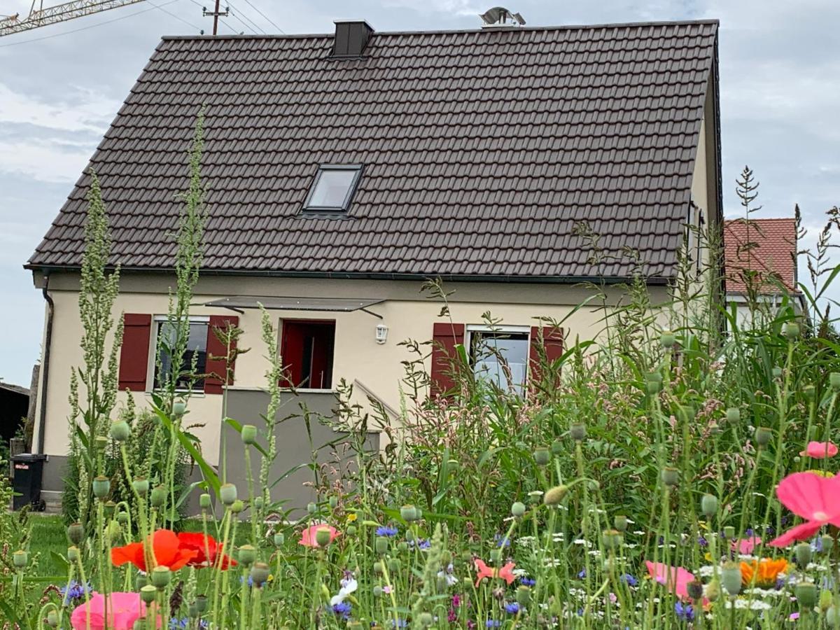 Ferienhaus Bei Lauingen, Mit Sauna Und Gartenlounge Veitriedhausen Exterior foto